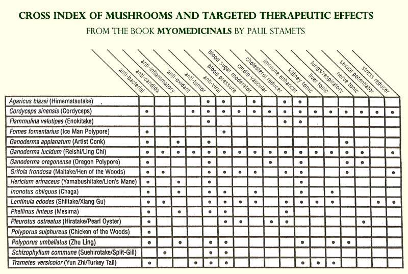 Mushroom-Therapeutic-Titled